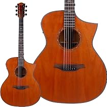 Bromo Guitars BAT4MCE ブロモギター Amazon | Bromo BAT4MCE エレアコギター トップ単板 ギグバッグ